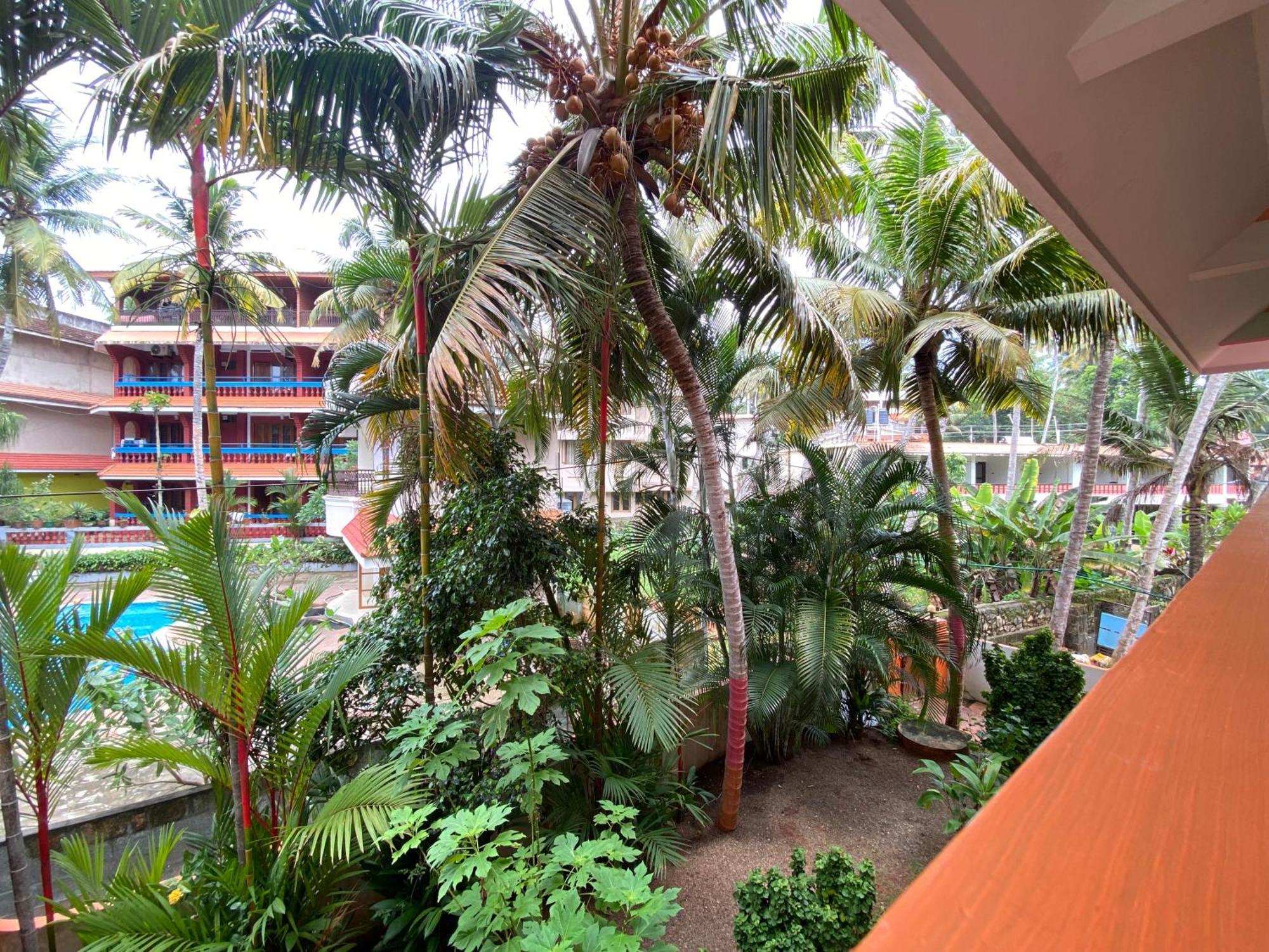 Packbag Comfort Bed & Breakfast Kovalam Εξωτερικό φωτογραφία